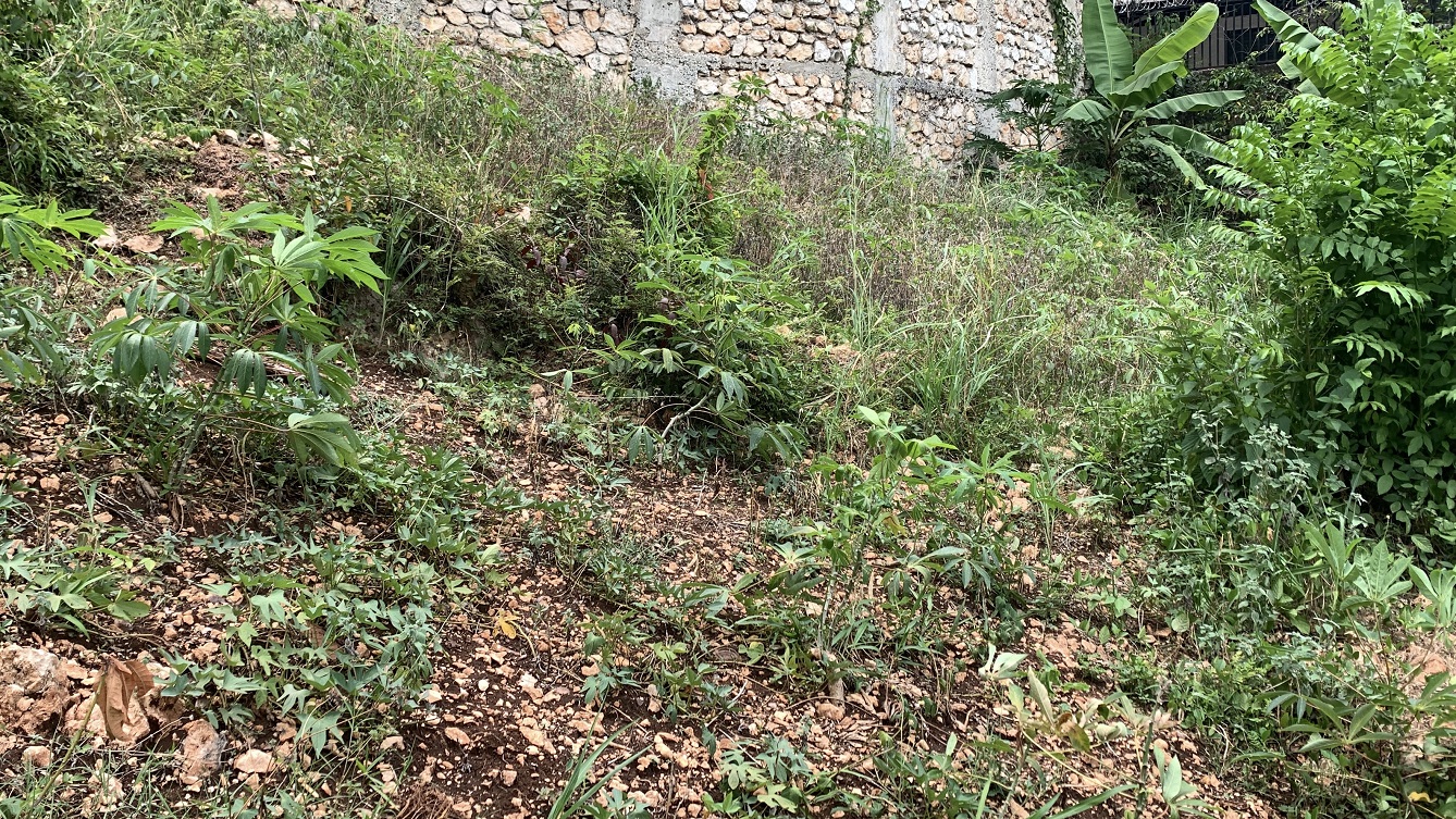 Premium Residential Land + Small 2-Bedroom , 1 Bath House for Sale in Pelerin 6 & 4 Petion-Ville, Haiti – 8 Centiemes (1,032m², 11,108ft², or 0.25 Acres) with Nicely Paved Roads, 100% Suburban Neighborhood, Highly Secure with Private Security Force, Flat, Build-Ready, 3-Way Fenced, Gated – Expensive Luxury Houses,  Apartment Complexes, Embassies, and Ambassadors in Area