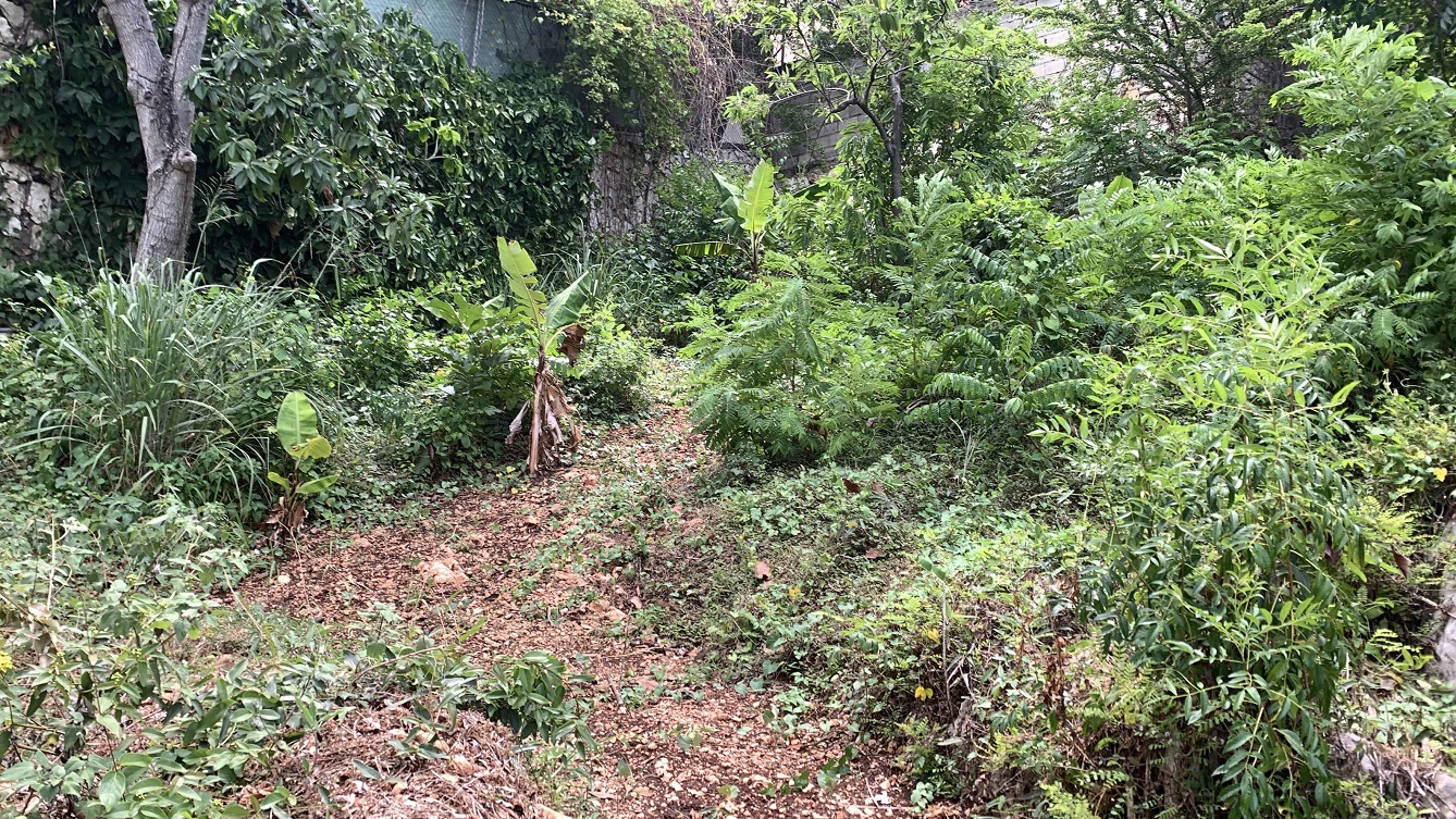 Premium Residential Land + Small 2-Bedroom , 1 Bath House for Sale in Pelerin 6 & 4 Petion-Ville, Haiti – 8 Centiemes (1,032m², 11,108ft², or 0.25 Acres) with Nicely Paved Roads, 100% Suburban Neighborhood, Highly Secure with Private Security Force, Flat, Build-Ready, 3-Way Fenced, Gated – Expensive Luxury Houses,  Apartment Complexes, Embassies, and Ambassadors in Area