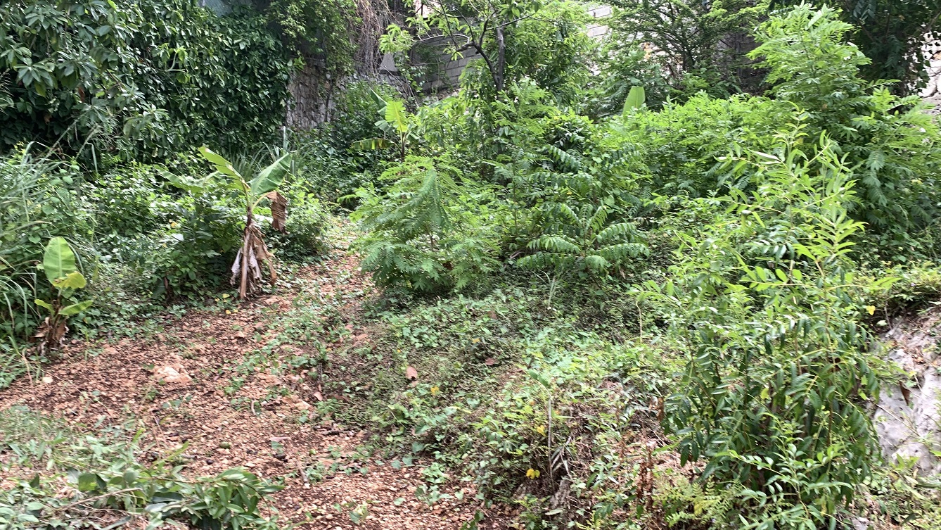 Premium Residential Land + Small 2-Bedroom , 1 Bath House for Sale in Pelerin 6 & 4 Petion-Ville, Haiti – 8 Centiemes (1,032m², 11,108ft², or 0.25 Acres) with Nicely Paved Roads, 100% Suburban Neighborhood, Highly Secure with Private Security Force, Flat, Build-Ready, 3-Way Fenced, Gated – Expensive Luxury Houses,  Apartment Complexes, Embassies, and Ambassadors in Area