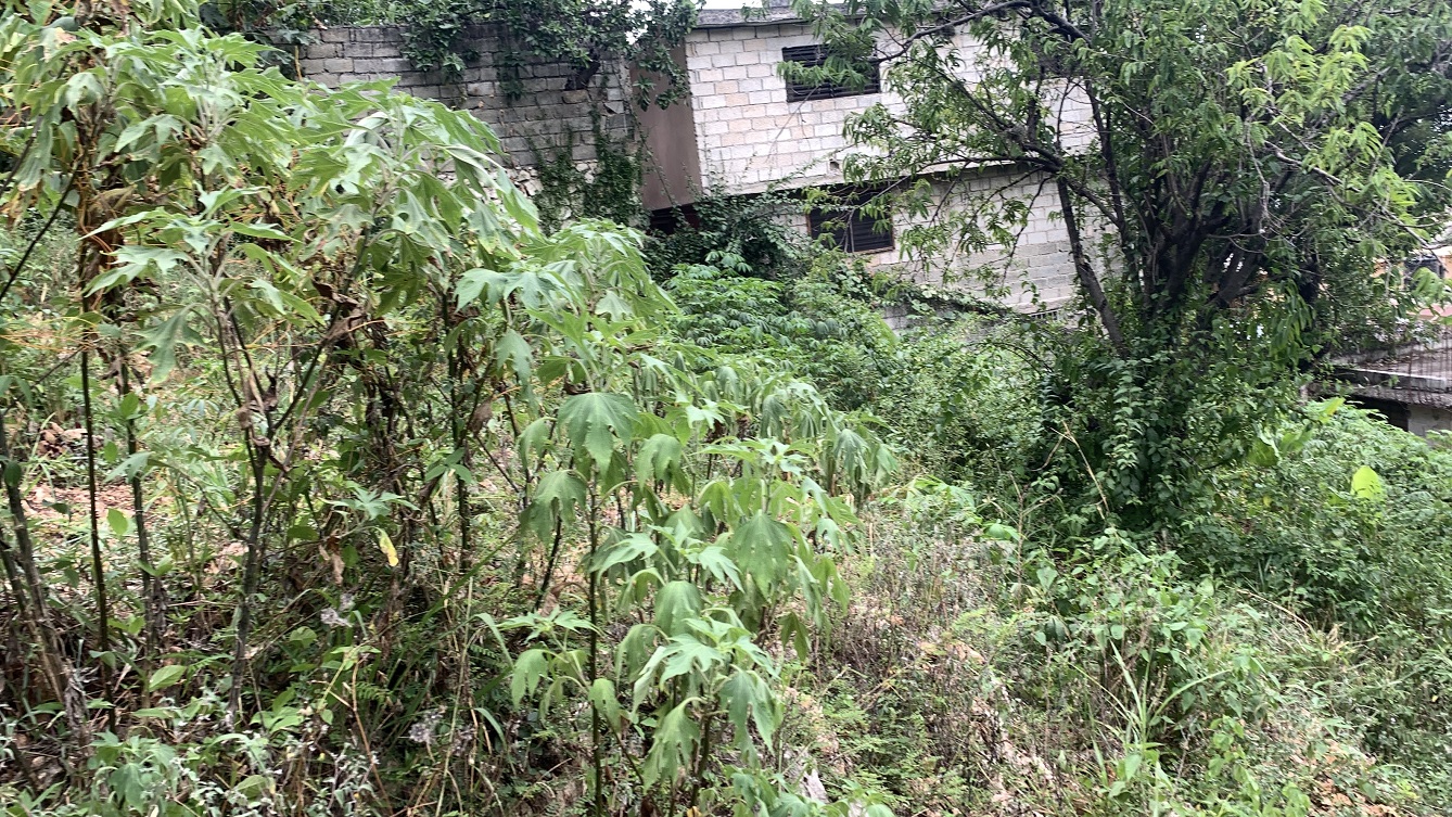 Premium Residential Land + Small 2-Bedroom , 1 Bath House for Sale in Pelerin 6 & 4 Petion-Ville, Haiti – 8 Centiemes (1,032m², 11,108ft², or 0.25 Acres) with Nicely Paved Roads, 100% Suburban Neighborhood, Highly Secure with Private Security Force, Flat, Build-Ready, 3-Way Fenced, Gated – Expensive Luxury Houses,  Apartment Complexes, Embassies, and Ambassadors in Area