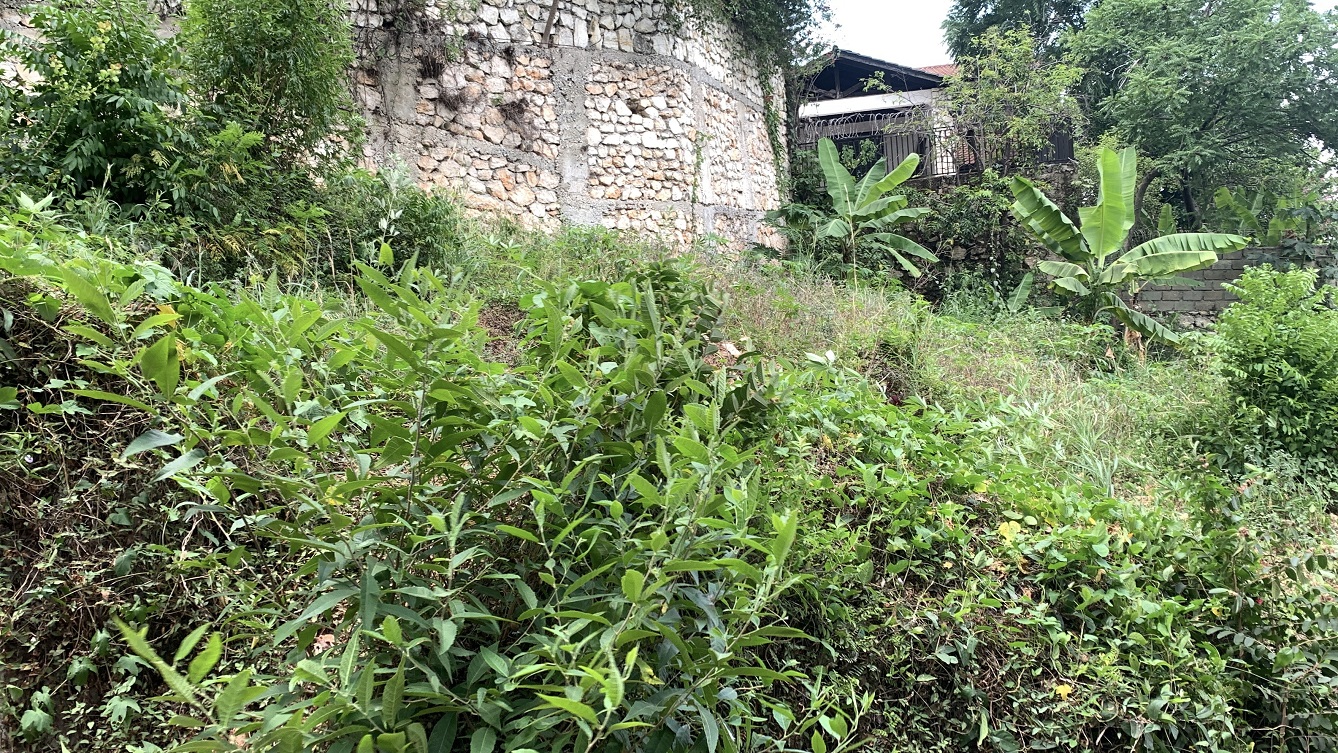 Premium Residential Land + Small 2-Bedroom , 1 Bath House for Sale in Pelerin 6 & 4 Petion-Ville, Haiti – 8 Centiemes (1,032m², 11,108ft², or 0.25 Acres) with Nicely Paved Roads, 100% Suburban Neighborhood, Highly Secure with Private Security Force, Flat, Build-Ready, 3-Way Fenced, Gated – Expensive Luxury Houses,  Apartment Complexes, Embassies, and Ambassadors in Area
