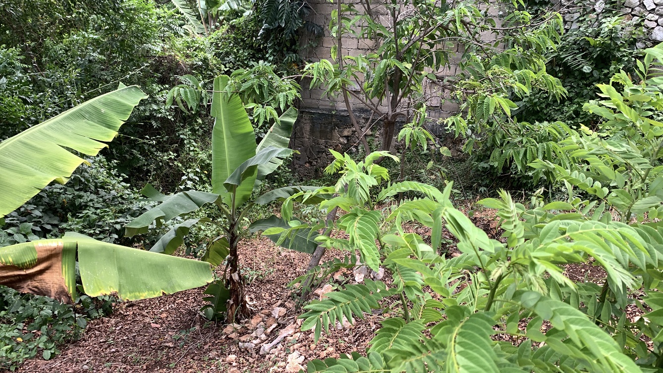 Premium Residential Land + Small 2-Bedroom , 1 Bath House for Sale in Pelerin 6 & 4 Petion-Ville, Haiti – 8 Centiemes (1,032m², 11,108ft², or 0.25 Acres) with Nicely Paved Roads, 100% Suburban Neighborhood, Highly Secure with Private Security Force, Flat, Build-Ready, 3-Way Fenced, Gated – Expensive Luxury Houses,  Apartment Complexes, Embassies, and Ambassadors in Area