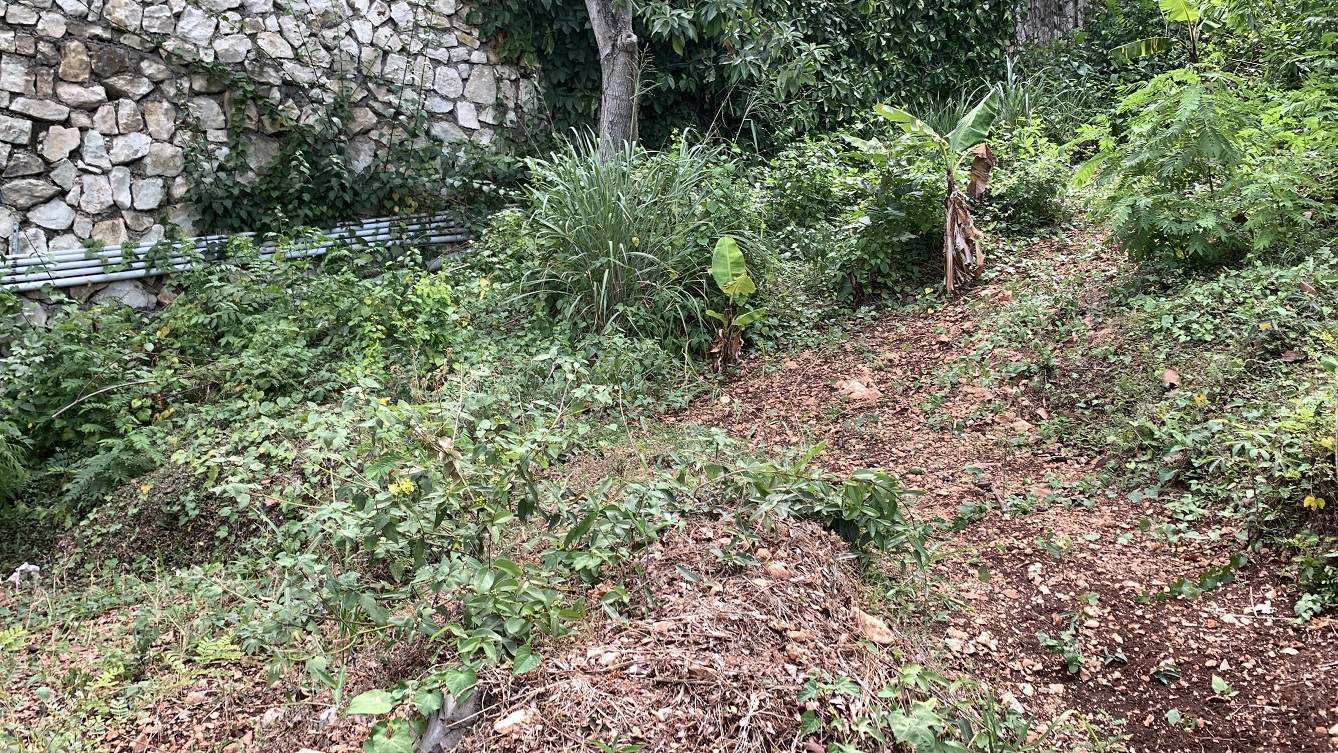 Premium Residential Land + Small 2-Bedroom , 1 Bath House for Sale in Pelerin 6 & 4 Petion-Ville, Haiti – 8 Centiemes (1,032m², 11,108ft², or 0.25 Acres) with Nicely Paved Roads, 100% Suburban Neighborhood, Highly Secure with Private Security Force, Flat, Build-Ready, 3-Way Fenced, Gated – Expensive Luxury Houses,  Apartment Complexes, Embassies, and Ambassadors in Area