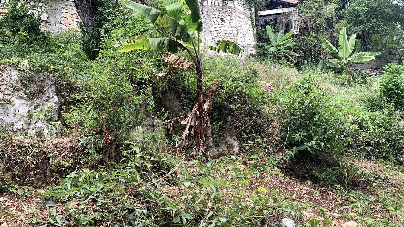 Premium Residential Land + Small 2-Bedroom , 1 Bath House for Sale in Pelerin 6 & 4 Petion-Ville, Haiti – 8 Centiemes (1,032m², 11,108ft², or 0.25 Acres) with Nicely Paved Roads, 100% Suburban Neighborhood, Highly Secure with Private Security Force, Flat, Build-Ready, 3-Way Fenced, Gated – Expensive Luxury Houses,  Apartment Complexes, Embassies, and Ambassadors in Area
