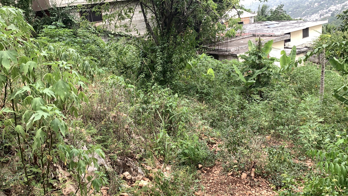Premium Residential Land + Small 2-Bedroom , 1 Bath House for Sale in Pelerin 6 & 4 Petion-Ville, Haiti – 8 Centiemes (1,032m², 11,108ft², or 0.25 Acres) with Nicely Paved Roads, 100% Suburban Neighborhood, Highly Secure with Private Security Force, Flat, Build-Ready, 3-Way Fenced, Gated – Expensive Luxury Houses,  Apartment Complexes, Embassies, and Ambassadors in Area