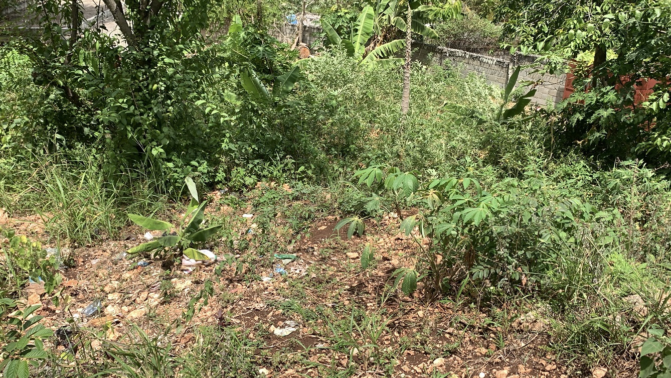 Premium Residential Land + Small 2-Bedroom , 1 Bath House for Sale in Pelerin 6 & 4 Petion-Ville, Haiti – 8 Centiemes (1,032m², 11,108ft², or 0.25 Acres) with Nicely Paved Roads, 100% Suburban Neighborhood, Highly Secure with Private Security Force, Flat, Build-Ready, 3-Way Fenced, Gated – Expensive Luxury Houses,  Apartment Complexes, Embassies, and Ambassadors in Area