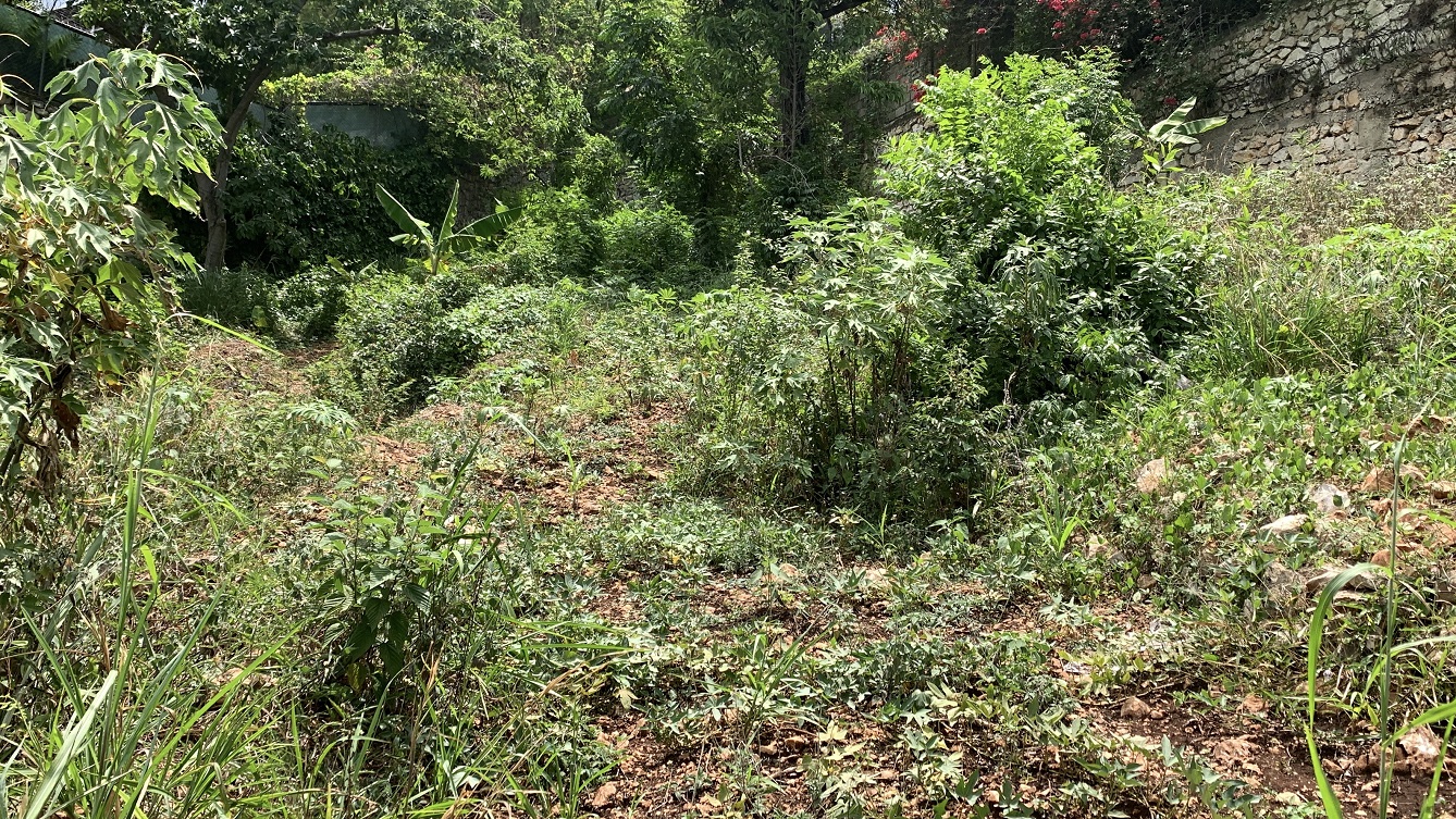 Premium Residential Land + Small 2-Bedroom , 1 Bath House for Sale in Pelerin 6 & 4 Petion-Ville, Haiti – 8 Centiemes (1,032m², 11,108ft², or 0.25 Acres) with Nicely Paved Roads, 100% Suburban Neighborhood, Highly Secure with Private Security Force, Flat, Build-Ready, 3-Way Fenced, Gated – Expensive Luxury Houses,  Apartment Complexes, Embassies, and Ambassadors in Area