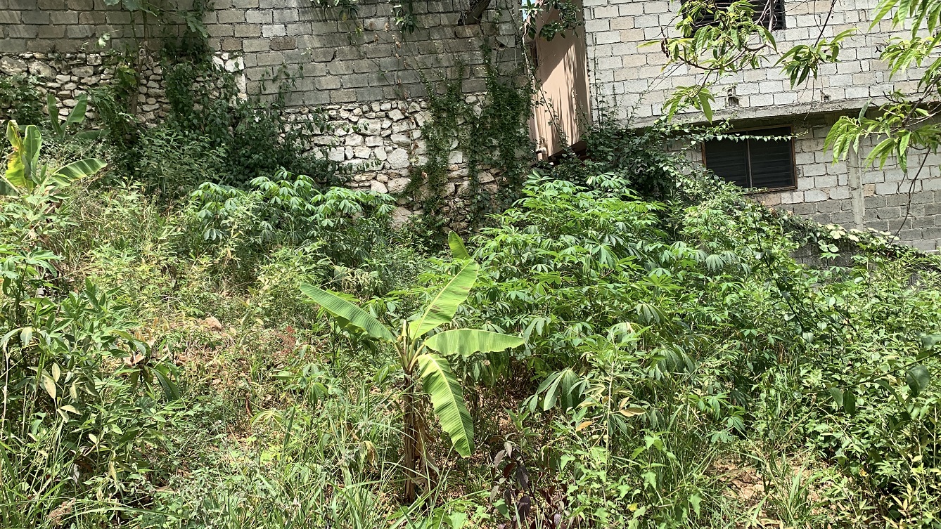 Premium Residential Land + Small 2-Bedroom , 1 Bath House for Sale in Pelerin 6 & 4 Petion-Ville, Haiti – 8 Centiemes (1,032m², 11,108ft², or 0.25 Acres) with Nicely Paved Roads, 100% Suburban Neighborhood, Highly Secure with Private Security Force, Flat, Build-Ready, 3-Way Fenced, Gated – Expensive Luxury Houses,  Apartment Complexes, Embassies, and Ambassadors in Area
