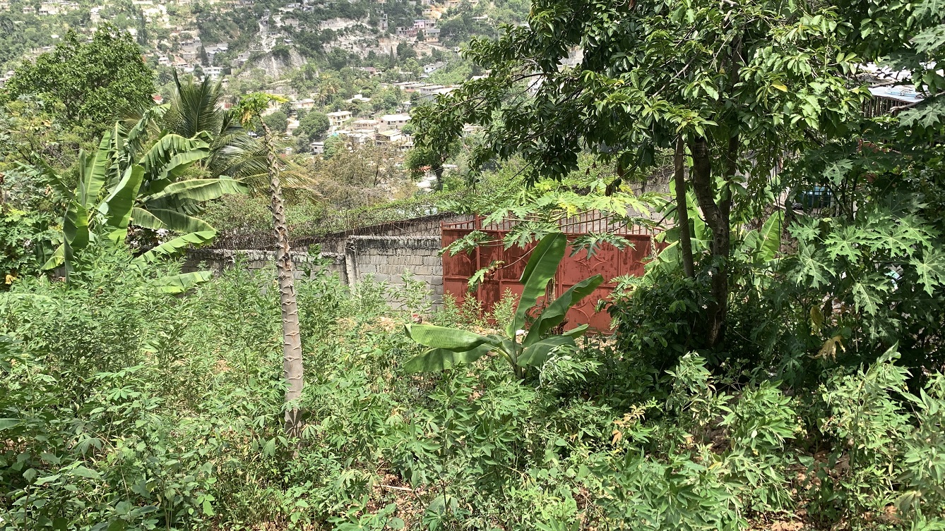 Premium Residential Land + Small 2-Bedroom , 1 Bath House for Sale in Pelerin 6 & 4 Petion-Ville, Haiti – 8 Centiemes (1,032m², 11,108ft², or 0.25 Acres) with Nicely Paved Roads, 100% Suburban Neighborhood, Highly Secure with Private Security Force, Flat, Build-Ready, 3-Way Fenced, Gated – Expensive Luxury Houses,  Apartment Complexes, Embassies, and Ambassadors in Area