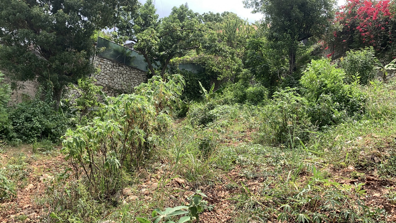 Premium Residential Land + Small 2-Bedroom , 1 Bath House for Sale in Pelerin 6 & 4 Petion-Ville, Haiti – 8 Centiemes (1,032m², 11,108ft², or 0.25 Acres) with Nicely Paved Roads, 100% Suburban Neighborhood, Highly Secure with Private Security Force, Flat, Build-Ready, 3-Way Fenced, Gated – Expensive Luxury Houses,  Apartment Complexes, Embassies, and Ambassadors in Area