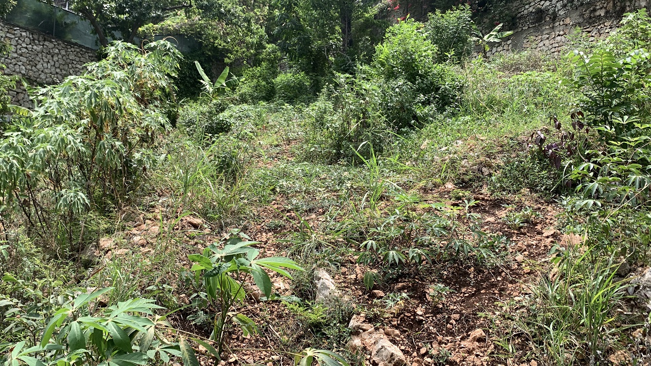 Premium Residential Land + Small 2-Bedroom , 1 Bath House for Sale in Pelerin 6 & 4 Petion-Ville, Haiti – 8 Centiemes (1,032m², 11,108ft², or 0.25 Acres) with Nicely Paved Roads, 100% Suburban Neighborhood, Highly Secure with Private Security Force, Flat, Build-Ready, 3-Way Fenced, Gated – Expensive Luxury Houses,  Apartment Complexes, Embassies, and Ambassadors in Area