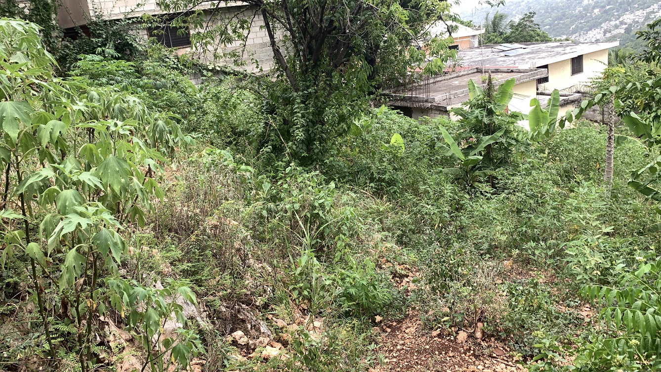 Premium Residential Land + Small 2-Bedroom , 1 Bath House for Sale in Pelerin 6 & 4 Petion-Ville, Haiti – 8 Centiemes (1,032m², 11,108ft², or 0.25 Acres) with Nicely Paved Roads, 100% Suburban Neighborhood, Highly Secure with Private Security Force, Flat, Build-Ready, 3-Way Fenced, Gated – Expensive Luxury Houses,  Apartment Complexes, Embassies, and Ambassadors in Area