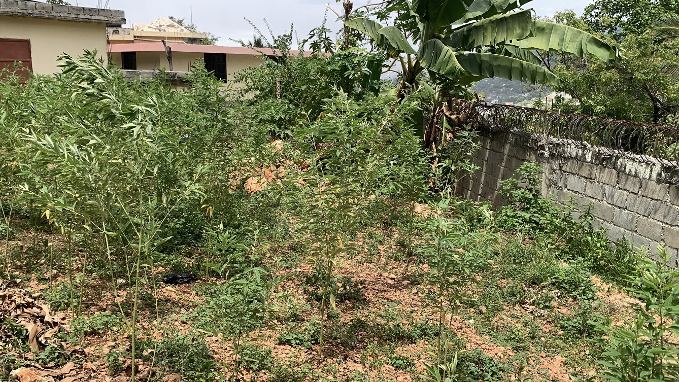 Premium Residential Land + Small 2-Bedroom , 1 Bath House for Sale in Pelerin 6 & 4 Petion-Ville, Haiti – 8 Centiemes (1,032m², 11,108ft², or 0.25 Acres) with Nicely Paved Roads, 100% Suburban Neighborhood, Highly Secure with Private Security Force, Flat, Build-Ready, 3-Way Fenced, Gated – Expensive Luxury Houses,  Apartment Complexes, Embassies, and Ambassadors in Area