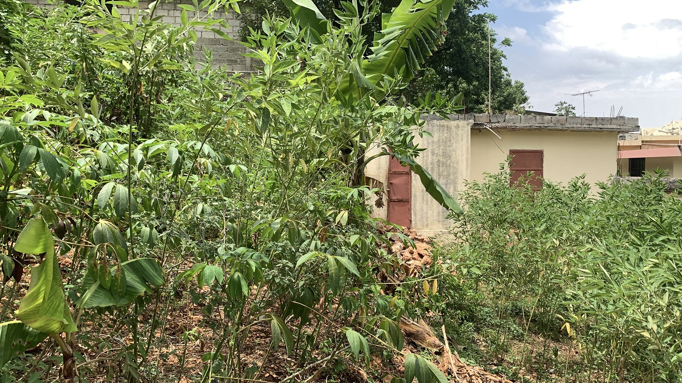 Premium Residential Land + Small 2-Bedroom , 1 Bath House for Sale in Pelerin 6 & 4 Petion-Ville, Haiti – 8 Centiemes (1,032m², 11,108ft², or 0.25 Acres) with Nicely Paved Roads, 100% Suburban Neighborhood, Highly Secure with Private Security Force, Flat, Build-Ready, 3-Way Fenced, Gated – Expensive Luxury Houses,  Apartment Complexes, Embassies, and Ambassadors in Area