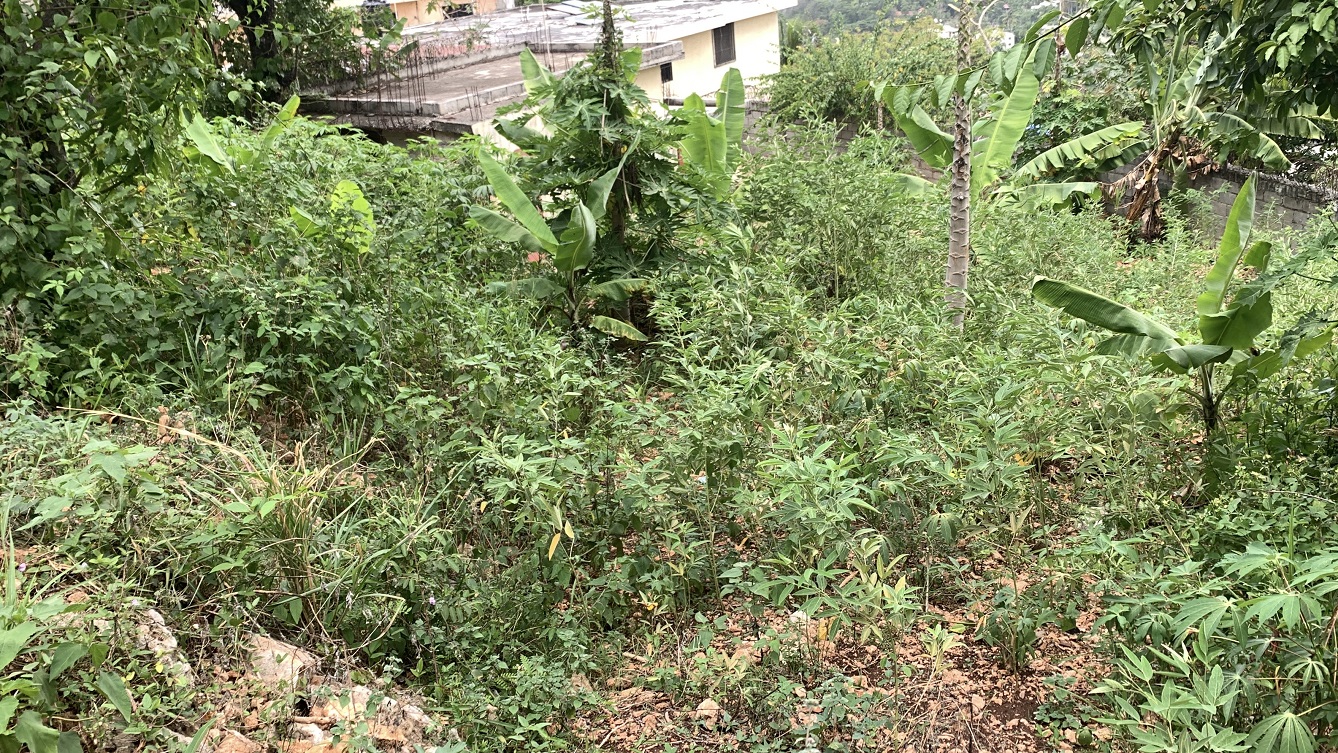 Premium Residential Land + Small 2-Bedroom , 1 Bath House for Sale in Pelerin 6 & 4 Petion-Ville, Haiti – 8 Centiemes (1,032m², 11,108ft², or 0.25 Acres) with Nicely Paved Roads, 100% Suburban Neighborhood, Highly Secure with Private Security Force, Flat, Build-Ready, 3-Way Fenced, Gated – Expensive Luxury Houses,  Apartment Complexes, Embassies, and Ambassadors in Area