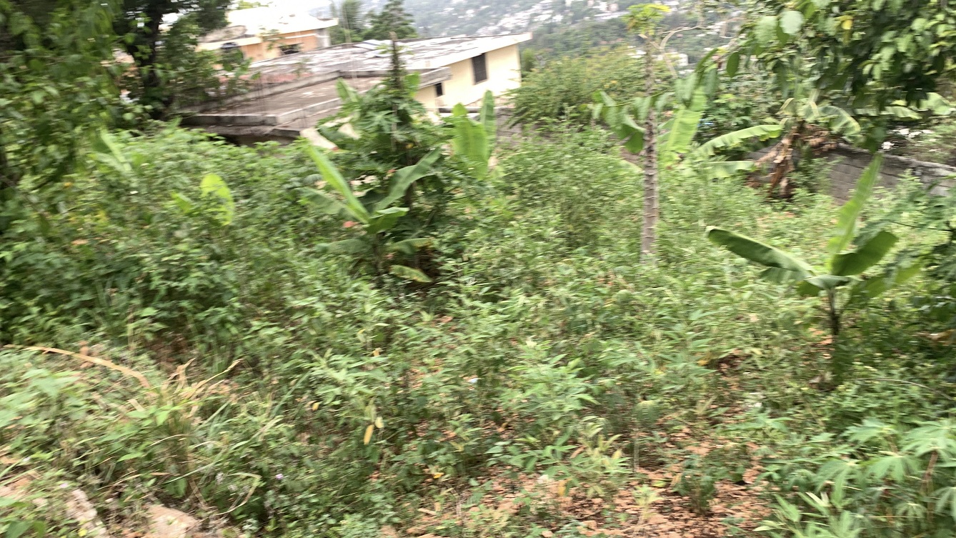 Premium Residential Land + Small 2-Bedroom , 1 Bath House for Sale in Pelerin 6 & 4 Petion-Ville, Haiti – 8 Centiemes (1,032m², 11,108ft², or 0.25 Acres) with Nicely Paved Roads, 100% Suburban Neighborhood, Highly Secure with Private Security Force, Flat, Build-Ready, 3-Way Fenced, Gated – Expensive Luxury Houses,  Apartment Complexes, Embassies, and Ambassadors in Area