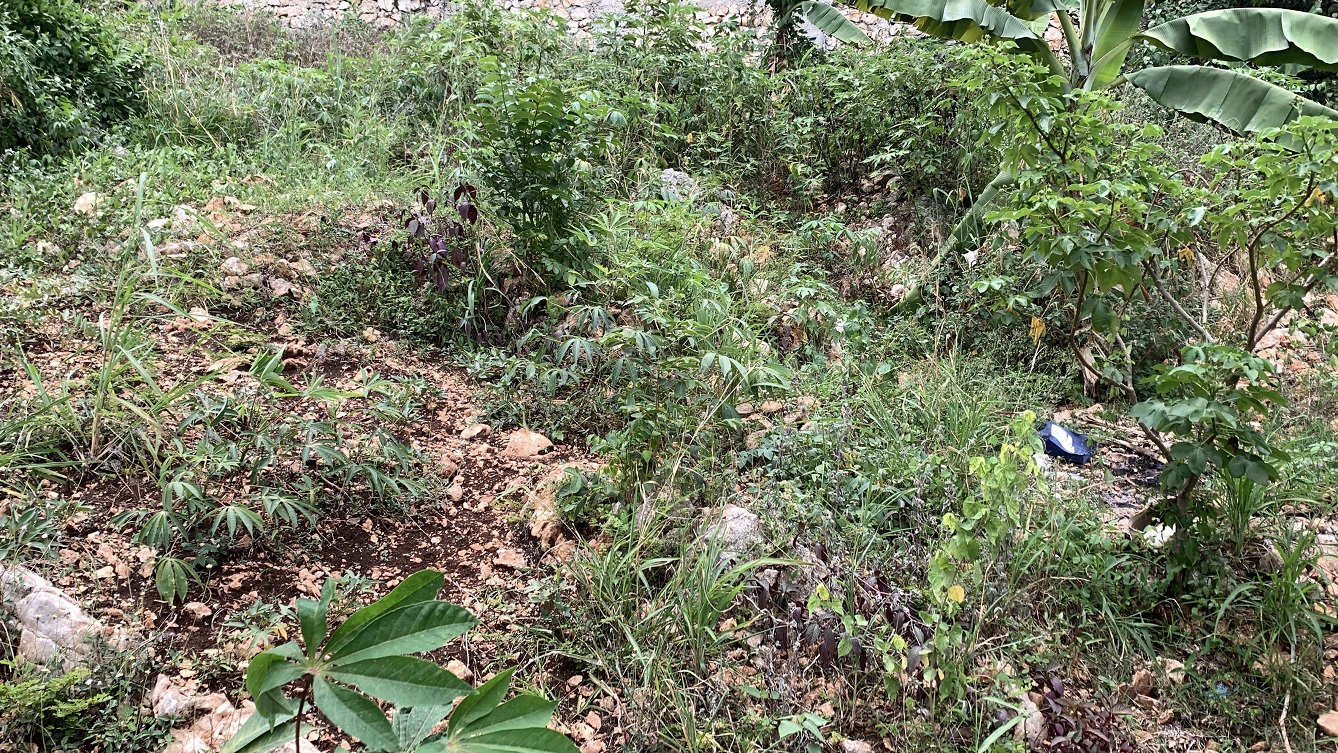 Premium Residential Land + Small 2-Bedroom , 1 Bath House for Sale in Pelerin 6 & 4 Petion-Ville, Haiti – 8 Centiemes (1,032m², 11,108ft², or 0.25 Acres) with Nicely Paved Roads, 100% Suburban Neighborhood, Highly Secure with Private Security Force, Flat, Build-Ready, 3-Way Fenced, Gated – Expensive Luxury Houses,  Apartment Complexes, Embassies, and Ambassadors in Area