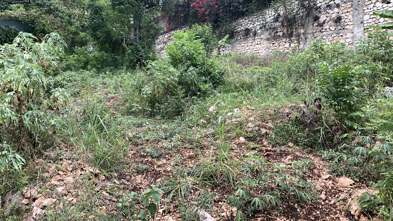 Premium Residential Land + Small 2-Bedroom , 1 Bath House for Sale in Pelerin 6 & 4 Petion-Ville, Haiti – 8 Centiemes (1,032m², 11,108ft², or 0.25 Acres) with Nicely Paved Roads, 100% Suburban Neighborhood, Highly Secure with Private Security Force, Flat, Build-Ready, 3-Way Fenced, Gated – Expensive Luxury Houses,  Apartment Complexes, Embassies, and Ambassadors in Area