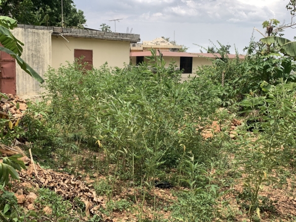 Cheap Premium Residential Land for Sale in Pelerin 6, Haiti