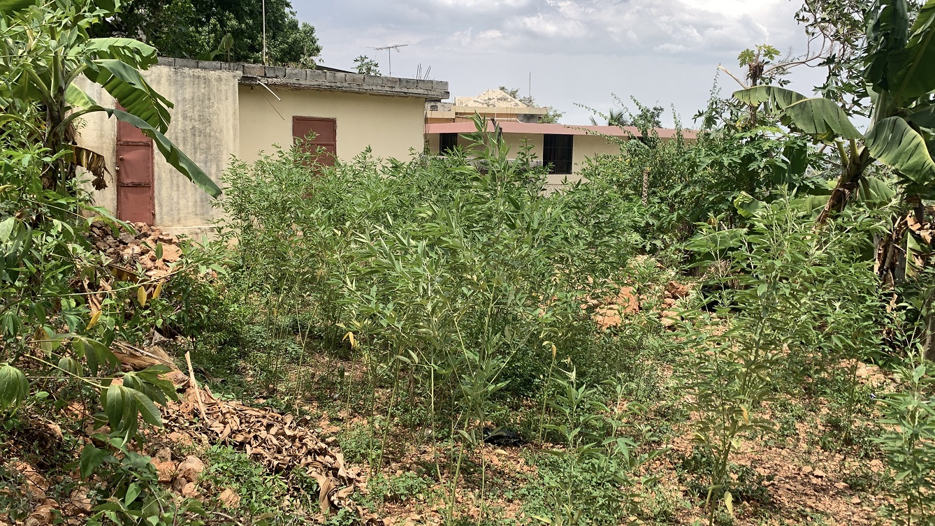 Cheap Premium Residential Land for Sale in Pelerin 6, Haiti