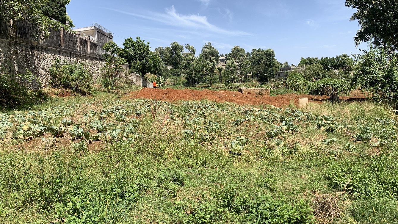 Premium Clear Title Land for Residential, Commercial Construction, or Farming for Sale in Fort-Jacques, Kenscoff, Haiti – 25 Centiemes (3,225m², 34,714ft², or 0.80 Acres) with Nicely Paved Roads, 100% Secrure Suburban Neighborhood, Very Flat, Build-Ready, Completely Fenced & Gated – Build a Luxury House, Home, Mansion, an Apartment Complex, Airbnb or Bed & Breakfast Business, or Simply Farm