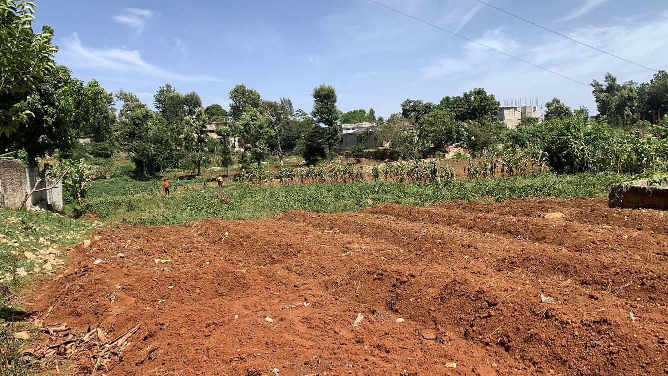 Premium Clear Title Land for Residential, Commercial Construction, or Farming for Sale in Fort-Jacques, Kenscoff, Haiti – 25 Centiemes (3,225m², 34,714ft², or 0.80 Acres) with Nicely Paved Roads, 100% Secrure Suburban Neighborhood, Very Flat, Build-Ready, Completely Fenced & Gated – Build a Luxury House, Home, Mansion, an Apartment Complex, Airbnb or Bed & Breakfast Business, or Simply Farm