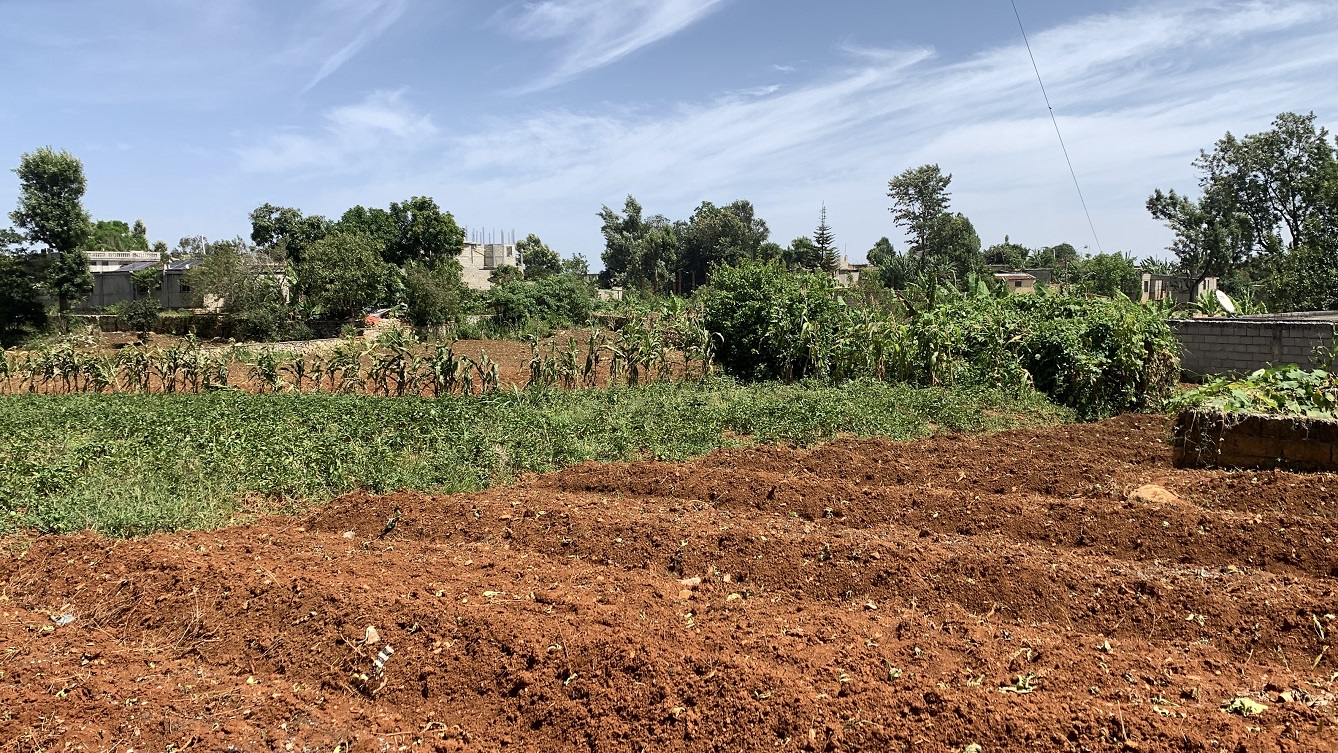 Premium Clear Title Land for Residential, Commercial Construction, or Farming for Sale in Fort-Jacques, Kenscoff, Haiti – 25 Centiemes (3,225m², 34,714ft², or 0.80 Acres) with Nicely Paved Roads, 100% Secrure Suburban Neighborhood, Very Flat, Build-Ready, Completely Fenced & Gated – Build a Luxury House, Home, Mansion, an Apartment Complex, Airbnb or Bed & Breakfast Business, or Simply Farm