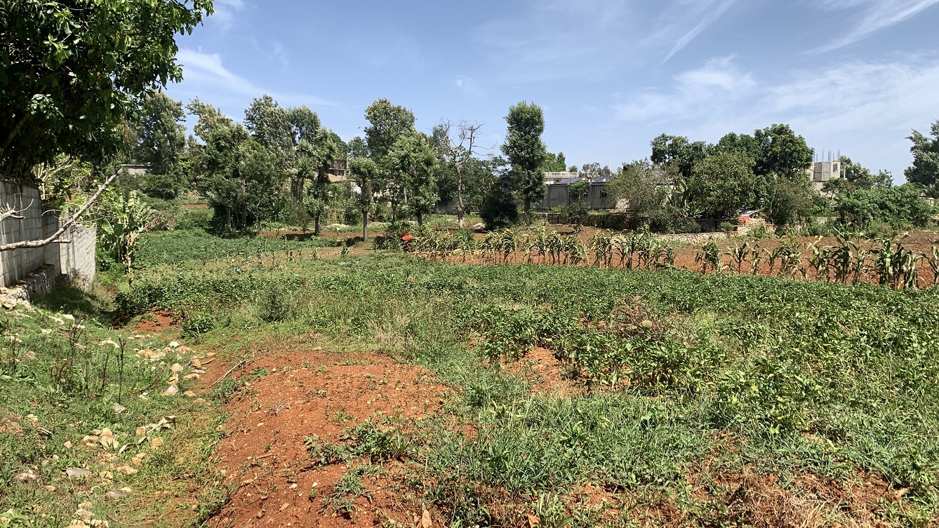 Premium Clear Title Land for Residential, Commercial Construction, or Farming for Sale in Fort-Jacques, Kenscoff, Haiti – 25 Centiemes (3,225m², 34,714ft², or 0.80 Acres) with Nicely Paved Roads, 100% Secrure Suburban Neighborhood, Very Flat, Build-Ready, Completely Fenced & Gated – Build a Luxury House, Home, Mansion, an Apartment Complex, Airbnb or Bed & Breakfast Business, or Simply Farm
