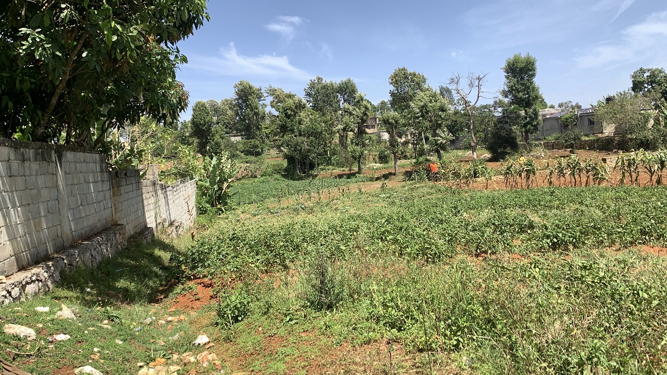 Premium Clear Title Land for Residential, Commercial Construction, or Farming for Sale in Fort-Jacques, Kenscoff, Haiti – 25 Centiemes (3,225m², 34,714ft², or 0.80 Acres) with Nicely Paved Roads, 100% Secrure Suburban Neighborhood, Very Flat, Build-Ready, Completely Fenced & Gated – Build a Luxury House, Home, Mansion, an Apartment Complex, Airbnb or Bed & Breakfast Business, or Simply Farm