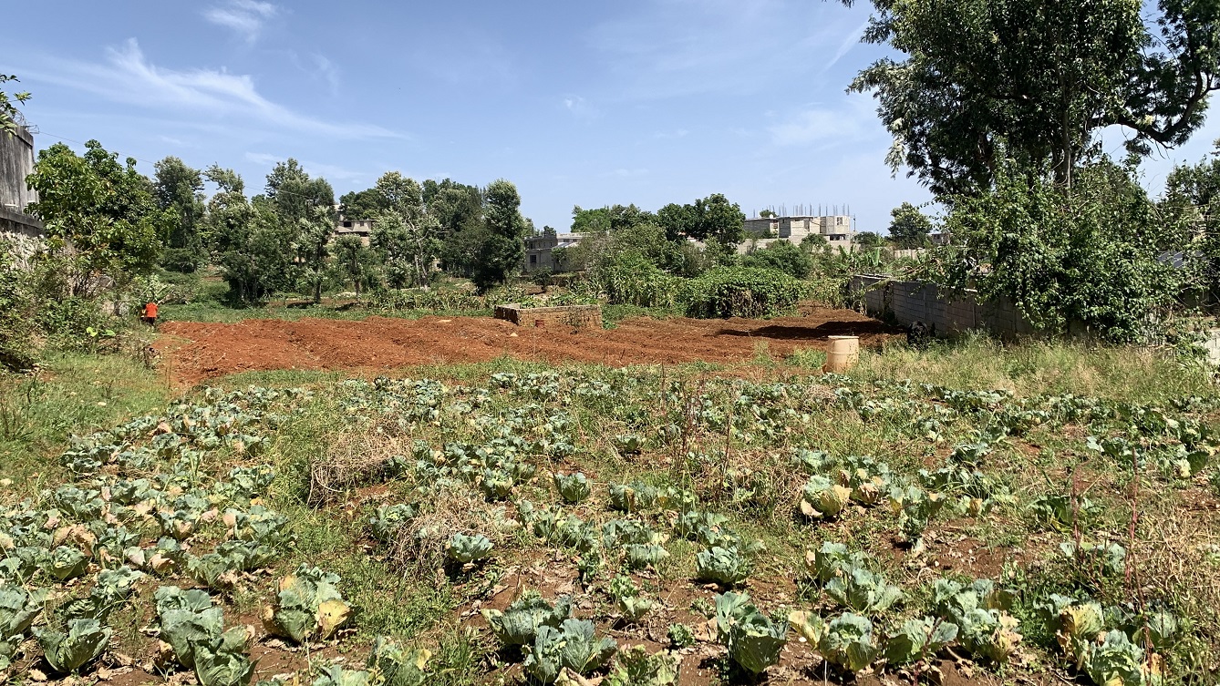 Premium Clear Title Land for Residential, Commercial Construction, or Farming for Sale in Fort-Jacques, Kenscoff, Haiti – 25 Centiemes (3,225m², 34,714ft², or 0.80 Acres) with Nicely Paved Roads, 100% Secrure Suburban Neighborhood, Very Flat, Build-Ready, Completely Fenced & Gated – Build a Luxury House, Home, Mansion, an Apartment Complex, Airbnb or Bed & Breakfast Business, or Simply Farm
