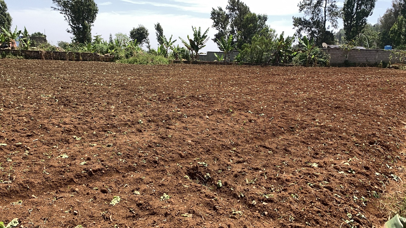Premium Clear Title Land for Residential, Commercial Construction, or Farming for Sale in Fort-Jacques, Kenscoff, Haiti – 25 Centiemes (3,225m², 34,714ft², or 0.80 Acres) with Nicely Paved Roads, 100% Secrure Suburban Neighborhood, Very Flat, Build-Ready, Completely Fenced & Gated – Build a Luxury House, Home, Mansion, an Apartment Complex, Airbnb or Bed & Breakfast Business, or Simply Farm