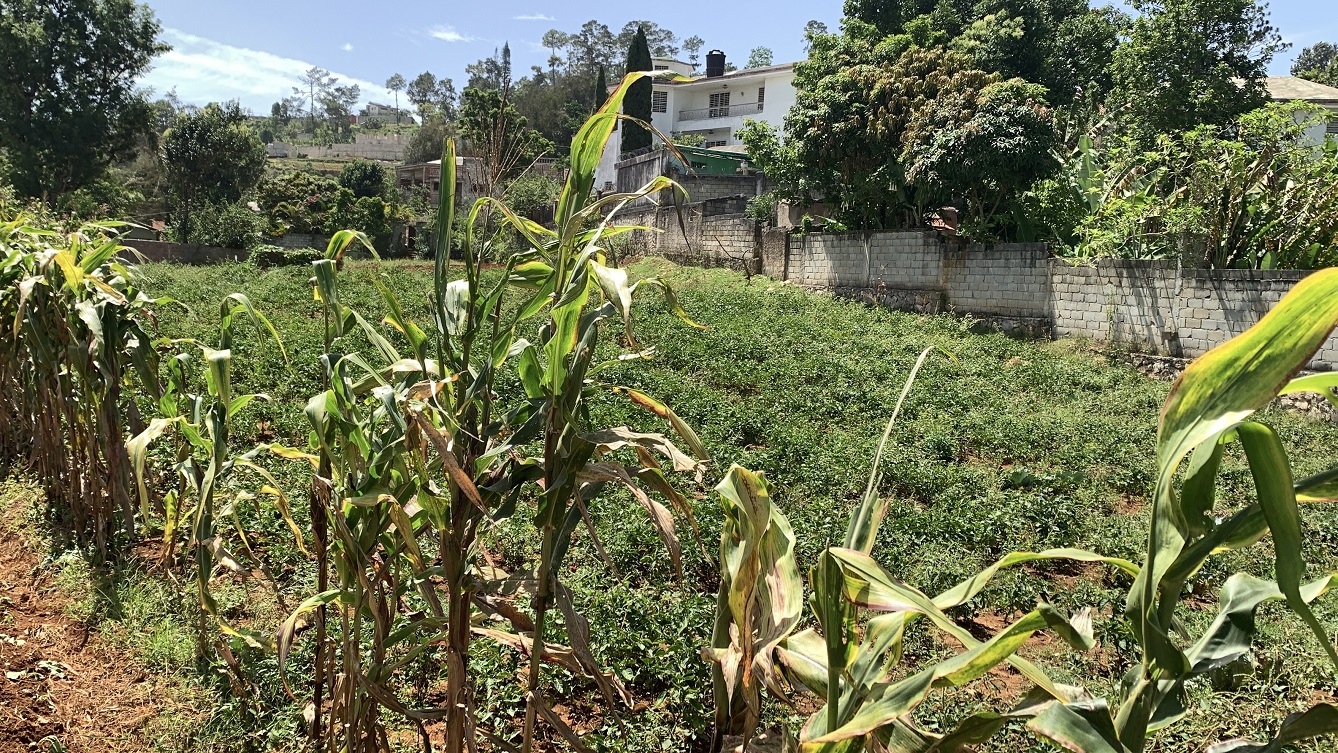 Premium Clear Title Land for Residential, Commercial Construction, or Farming for Sale in Fort-Jacques, Kenscoff, Haiti – 25 Centiemes (3,225m², 34,714ft², or 0.80 Acres) with Nicely Paved Roads, 100% Secrure Suburban Neighborhood, Very Flat, Build-Ready, Completely Fenced & Gated – Build a Luxury House, Home, Mansion, an Apartment Complex, Airbnb or Bed & Breakfast Business, or Simply Farm