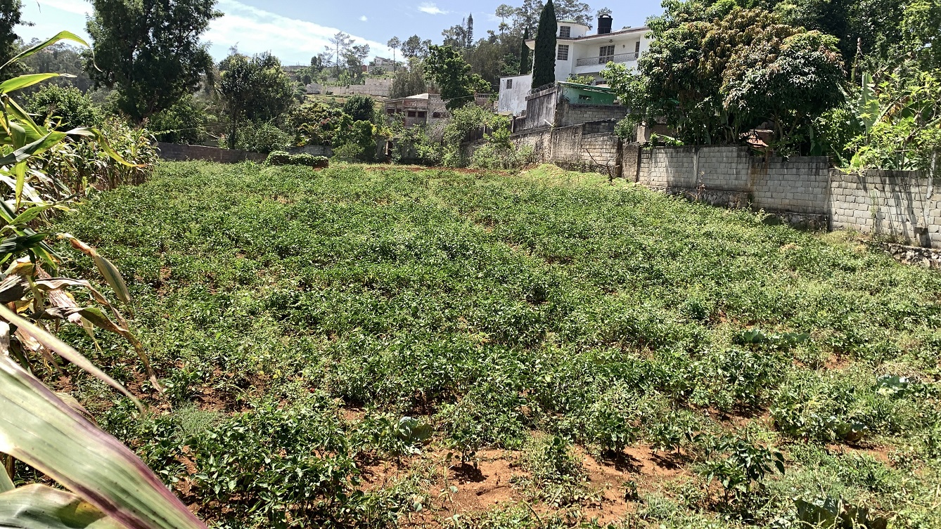 Premium Clear Title Land for Residential, Commercial Construction, or Farming for Sale in Fort-Jacques, Kenscoff, Haiti – 25 Centiemes (3,225m², 34,714ft², or 0.80 Acres) with Nicely Paved Roads, 100% Secrure Suburban Neighborhood, Very Flat, Build-Ready, Completely Fenced & Gated – Build a Luxury House, Home, Mansion, an Apartment Complex, Airbnb or Bed & Breakfast Business, or Simply Farm