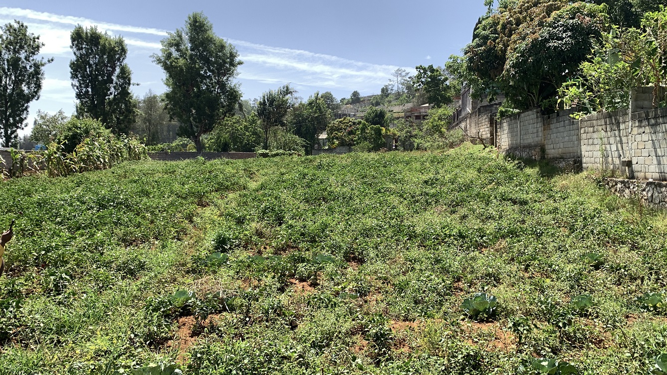 Premium Clear Title Land for Residential, Commercial Construction, or Farming for Sale in Fort-Jacques, Kenscoff, Haiti – 25 Centiemes (3,225m², 34,714ft², or 0.80 Acres) with Nicely Paved Roads, 100% Secrure Suburban Neighborhood, Very Flat, Build-Ready, Completely Fenced & Gated – Build a Luxury House, Home, Mansion, an Apartment Complex, Airbnb or Bed & Breakfast Business, or Simply Farm