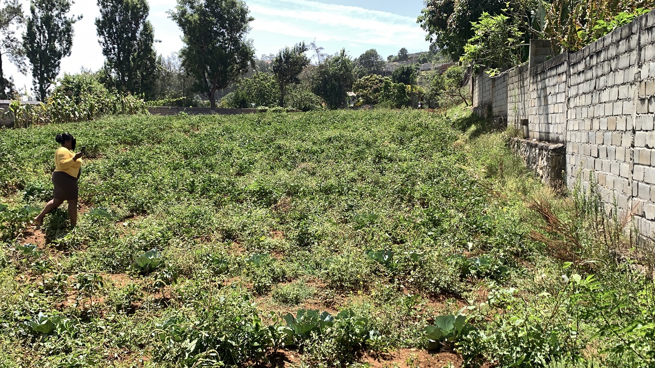 Premium Clear Title Land for Residential, Commercial Construction, or Farming for Sale in Fort-Jacques, Kenscoff, Haiti – 25 Centiemes (3,225m², 34,714ft², or 0.80 Acres) with Nicely Paved Roads, 100% Secrure Suburban Neighborhood, Very Flat, Build-Ready, Completely Fenced & Gated – Build a Luxury House, Home, Mansion, an Apartment Complex, Airbnb or Bed & Breakfast Business, or Simply Farm