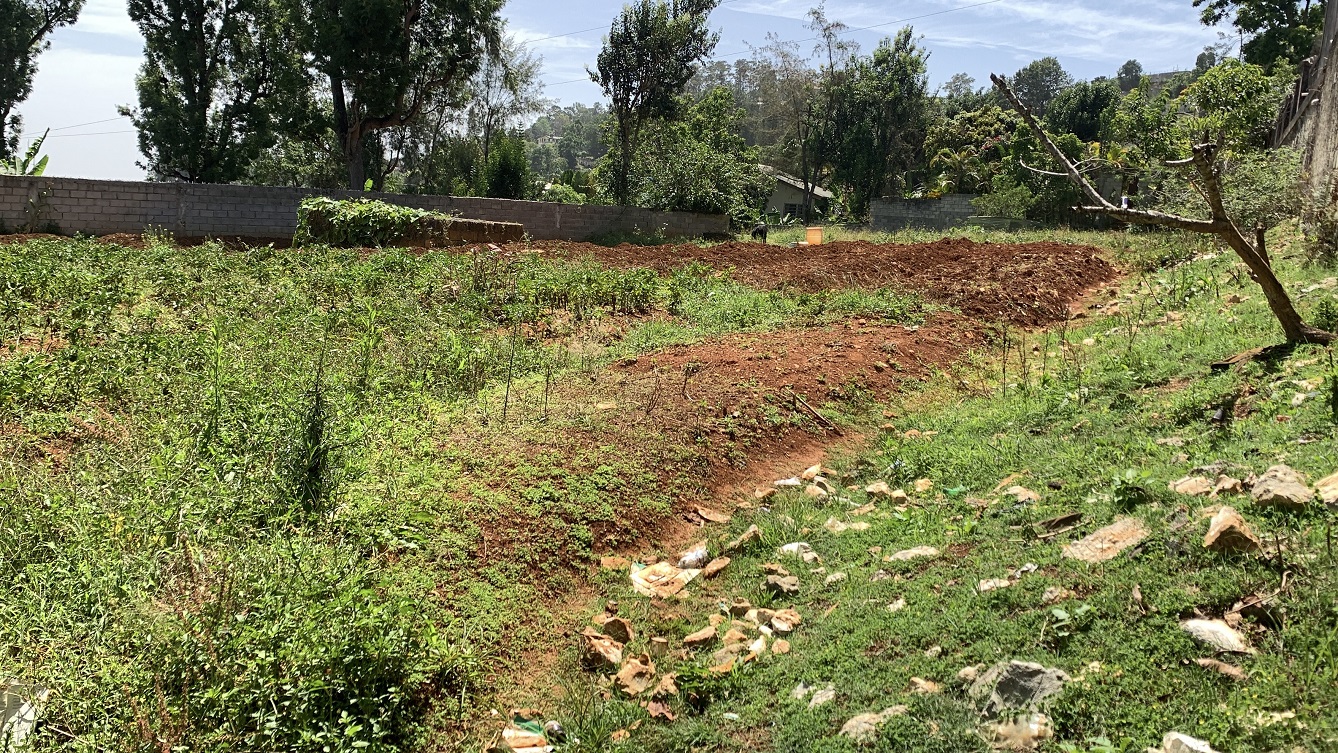 Premium Clear Title Land for Residential, Commercial Construction, or Farming for Sale in Fort-Jacques, Kenscoff, Haiti – 25 Centiemes (3,225m², 34,714ft², or 0.80 Acres) with Nicely Paved Roads, 100% Secrure Suburban Neighborhood, Very Flat, Build-Ready, Completely Fenced & Gated – Build a Luxury House, Home, Mansion, an Apartment Complex, Airbnb or Bed & Breakfast Business, or Simply Farm