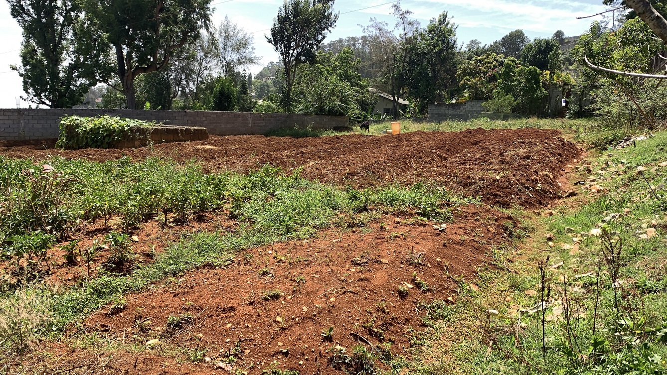Premium Clear Title Land for Residential, Commercial Construction, or Farming for Sale in Fort-Jacques, Kenscoff, Haiti – 25 Centiemes (3,225m², 34,714ft², or 0.80 Acres) with Nicely Paved Roads, 100% Secrure Suburban Neighborhood, Very Flat, Build-Ready, Completely Fenced & Gated – Build a Luxury House, Home, Mansion, an Apartment Complex, Airbnb or Bed & Breakfast Business, or Simply Farm