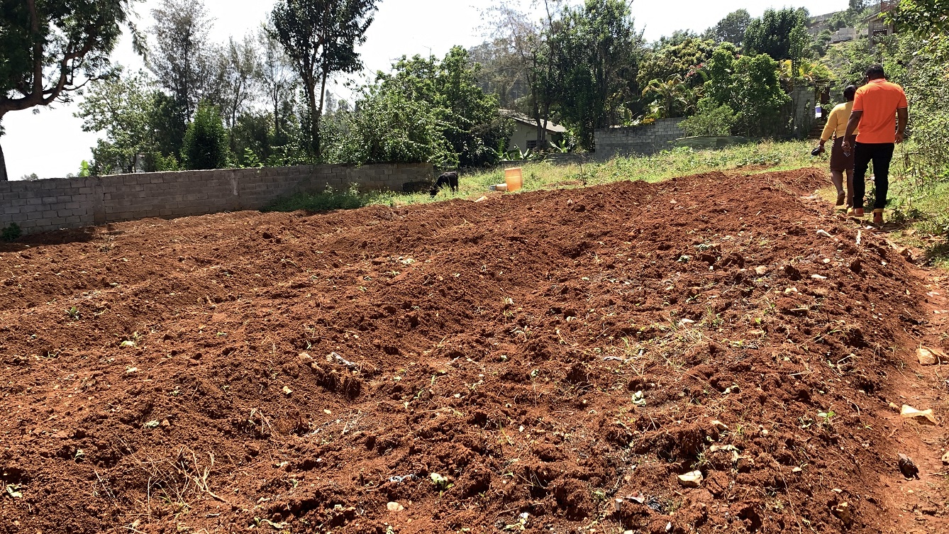Premium Clear Title Land for Residential, Commercial Construction, or Farming for Sale in Fort-Jacques, Kenscoff, Haiti – 25 Centiemes (3,225m², 34,714ft², or 0.80 Acres) with Nicely Paved Roads, 100% Secrure Suburban Neighborhood, Very Flat, Build-Ready, Completely Fenced & Gated – Build a Luxury House, Home, Mansion, an Apartment Complex, Airbnb or Bed & Breakfast Business, or Simply Farm