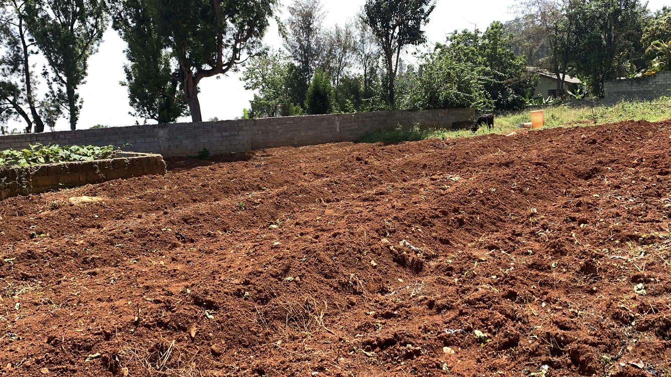 Premium Clear Title Land for Residential, Commercial Construction, or Farming for Sale in Fort-Jacques, Kenscoff, Haiti – 25 Centiemes (3,225m², 34,714ft², or 0.80 Acres) with Nicely Paved Roads, 100% Secrure Suburban Neighborhood, Very Flat, Build-Ready, Completely Fenced & Gated – Build a Luxury House, Home, Mansion, an Apartment Complex, Airbnb or Bed & Breakfast Business, or Simply Farm