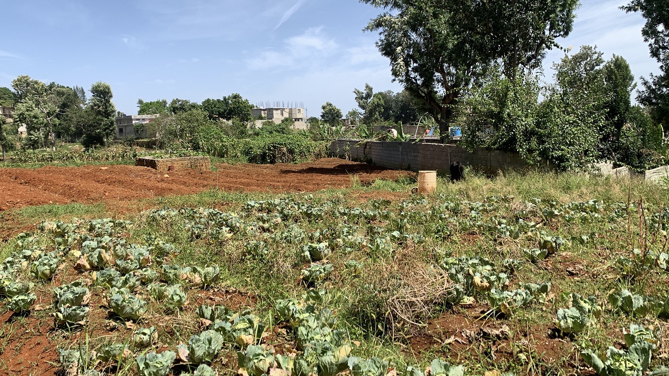 Premium Clear Title Land for Residential, Commercial Construction, or Farming for Sale in Fort-Jacques, Kenscoff, Haiti – 25 Centiemes (3,225m², 34,714ft², or 0.80 Acres) with Nicely Paved Roads, 100% Secrure Suburban Neighborhood, Very Flat, Build-Ready, Completely Fenced & Gated – Build a Luxury House, Home, Mansion, an Apartment Complex, Airbnb or Bed & Breakfast Business, or Simply Farm