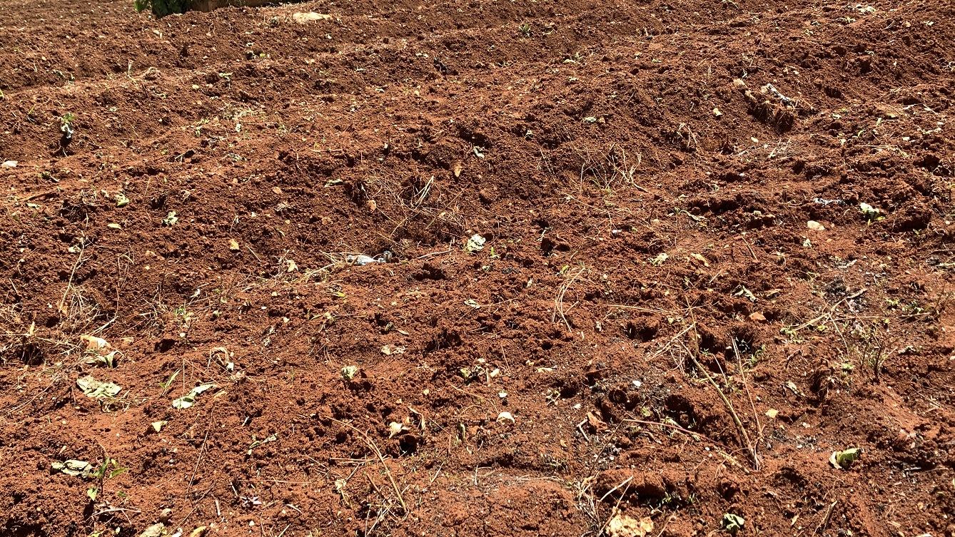 Premium Clear Title Land for Residential, Commercial Construction, or Farming for Sale in Fort-Jacques, Kenscoff, Haiti – 25 Centiemes (3,225m², 34,714ft², or 0.80 Acres) with Nicely Paved Roads, 100% Secrure Suburban Neighborhood, Very Flat, Build-Ready, Completely Fenced & Gated – Build a Luxury House, Home, Mansion, an Apartment Complex, Airbnb or Bed & Breakfast Business, or Simply Farm