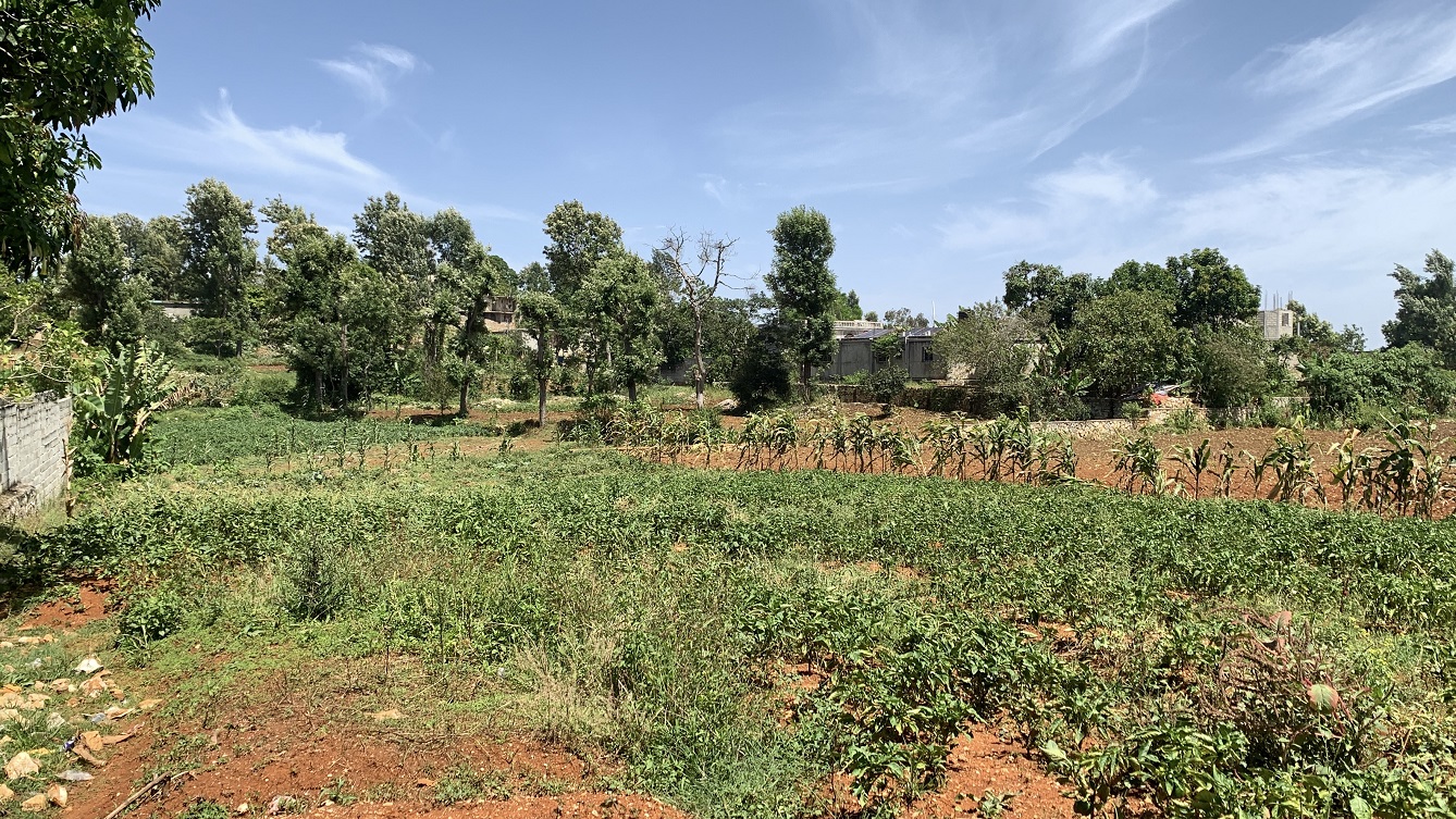 Premium Clear Title Land for Residential, Commercial Construction, or Farming for Sale in Fort-Jacques, Kenscoff, Haiti – 25 Centiemes (3,225m², 34,714ft², or 0.80 Acres) with Nicely Paved Roads, 100% Secrure Suburban Neighborhood, Very Flat, Build-Ready, Completely Fenced & Gated – Build a Luxury House, Home, Mansion, an Apartment Complex, Airbnb or Bed & Breakfast Business, or Simply Farm