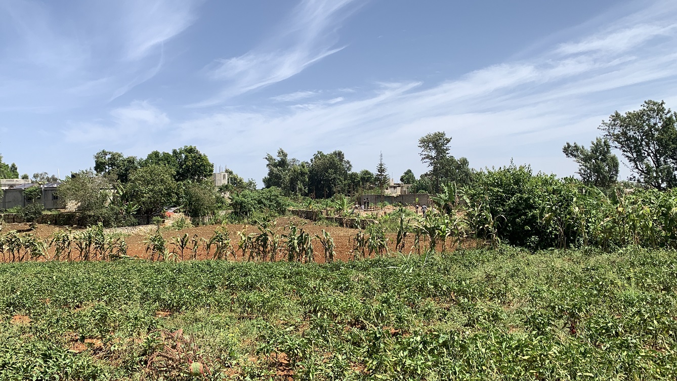 Premium Clear Title Land for Residential, Commercial Construction, or Farming for Sale in Fort-Jacques, Kenscoff, Haiti – 25 Centiemes (3,225m², 34,714ft², or 0.80 Acres) with Nicely Paved Roads, 100% Secrure Suburban Neighborhood, Very Flat, Build-Ready, Completely Fenced & Gated – Build a Luxury House, Home, Mansion, an Apartment Complex, Airbnb or Bed & Breakfast Business, or Simply Farm