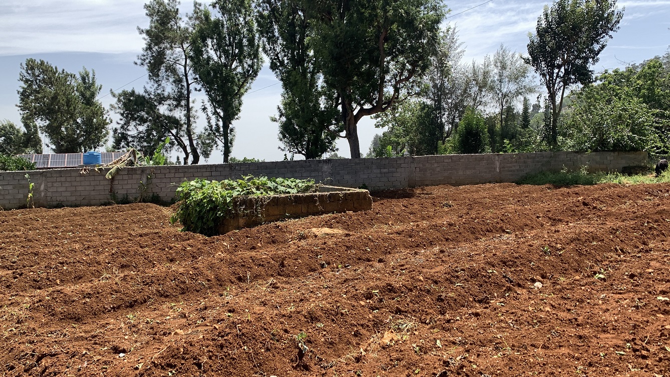 Premium Clear Title Land for Residential, Commercial Construction, or Farming for Sale in Fort-Jacques, Kenscoff, Haiti – 25 Centiemes (3,225m², 34,714ft², or 0.80 Acres) with Nicely Paved Roads, 100% Secrure Suburban Neighborhood, Very Flat, Build-Ready, Completely Fenced & Gated – Build a Luxury House, Home, Mansion, an Apartment Complex, Airbnb or Bed & Breakfast Business, or Simply Farm