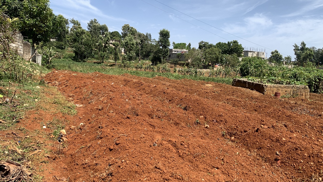 Premium Clear Title Land for Residential, Commercial Construction, or Farming for Sale in Fort-Jacques, Kenscoff, Haiti – 25 Centiemes (3,225m², 34,714ft², or 0.80 Acres) with Nicely Paved Roads, 100% Secrure Suburban Neighborhood, Very Flat, Build-Ready, Completely Fenced & Gated – Build a Luxury House, Home, Mansion, an Apartment Complex, Airbnb or Bed & Breakfast Business, or Simply Farm