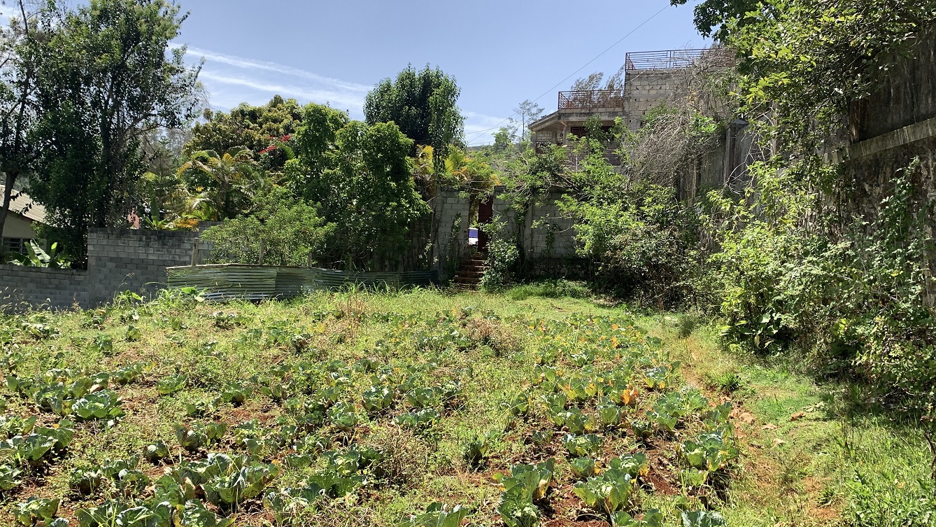 Premium Clear Title Land for Residential, Commercial Construction, or Farming for Sale in Fort-Jacques, Kenscoff, Haiti – 25 Centiemes (3,225m², 34,714ft², or 0.80 Acres) with Nicely Paved Roads, 100% Secrure Suburban Neighborhood, Very Flat, Build-Ready, Completely Fenced & Gated – Build a Luxury House, Home, Mansion, an Apartment Complex, Airbnb or Bed & Breakfast Business, or Simply Farm