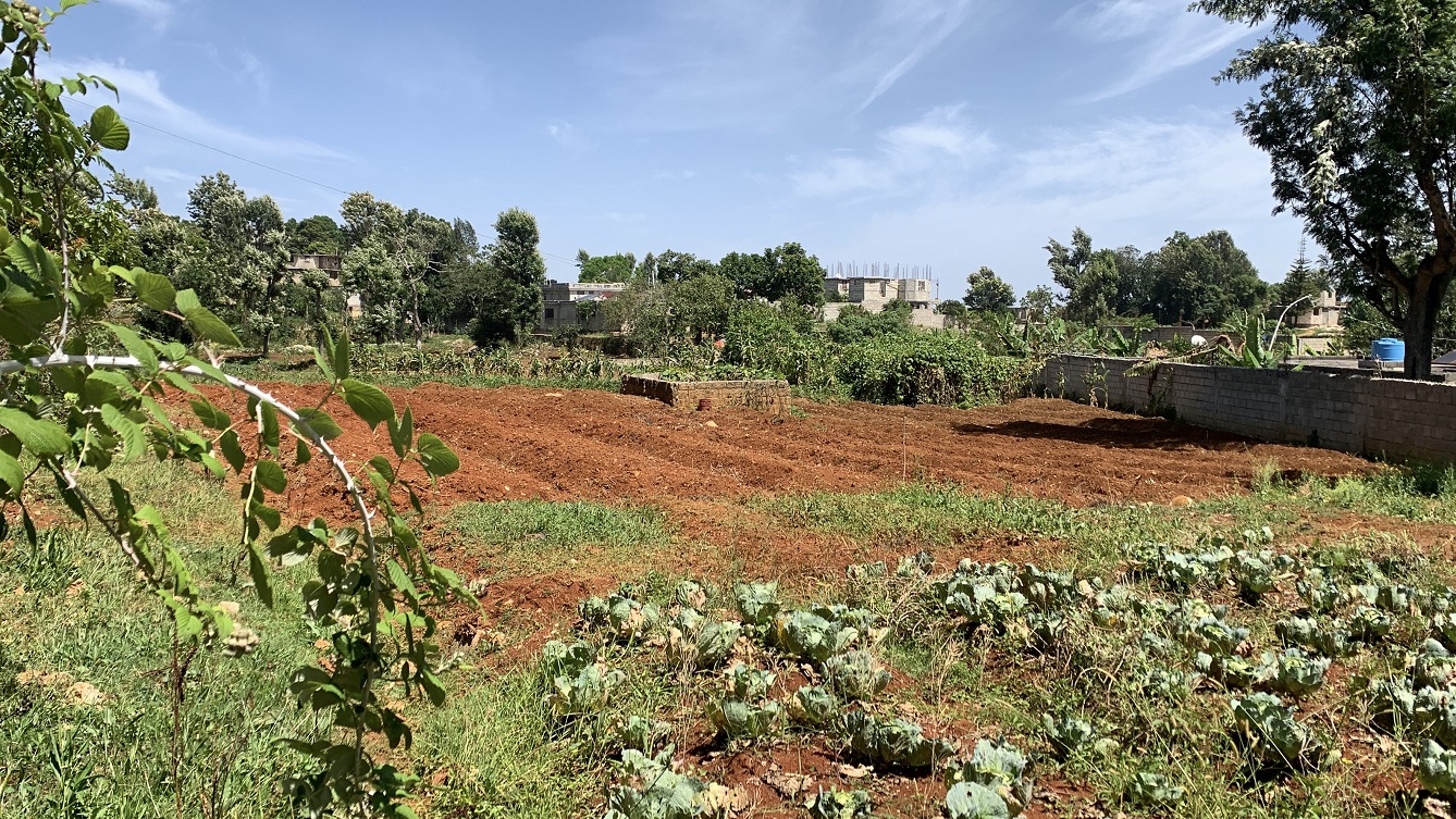 Premium Clear Title Land for Residential, Commercial Construction, or Farming for Sale in Fort-Jacques, Kenscoff, Haiti – 25 Centiemes (3,225m², 34,714ft², or 0.80 Acres) with Nicely Paved Roads, 100% Secrure Suburban Neighborhood, Very Flat, Build-Ready, Completely Fenced & Gated – Build a Luxury House, Home, Mansion, an Apartment Complex, Airbnb or Bed & Breakfast Business, or Simply Farm
