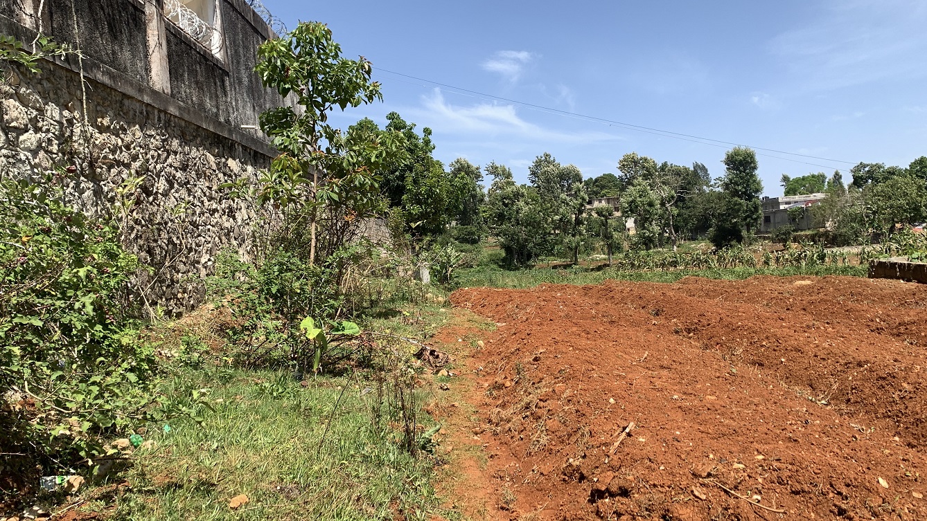Premium Clear Title Land for Residential, Commercial Construction, or Farming for Sale in Fort-Jacques, Kenscoff, Haiti – 25 Centiemes (3,225m², 34,714ft², or 0.80 Acres) with Nicely Paved Roads, 100% Secrure Suburban Neighborhood, Very Flat, Build-Ready, Completely Fenced & Gated – Build a Luxury House, Home, Mansion, an Apartment Complex, Airbnb or Bed & Breakfast Business, or Simply Farm