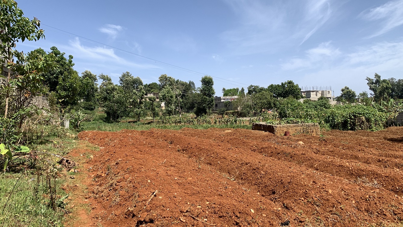 Premium Clear Title Land for Residential, Commercial Construction, or Farming for Sale in Fort-Jacques, Kenscoff, Haiti – 25 Centiemes (3,225m², 34,714ft², or 0.80 Acres) with Nicely Paved Roads, 100% Secrure Suburban Neighborhood, Very Flat, Build-Ready, Completely Fenced & Gated – Build a Luxury House, Home, Mansion, an Apartment Complex, Airbnb or Bed & Breakfast Business, or Simply Farm