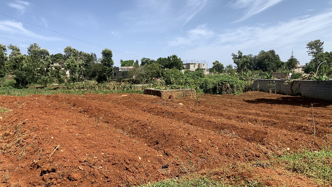 Premium Clear Title Land for Residential, Commercial Construction, or Farming for Sale in Fort-Jacques, Kenscoff, Haiti – 25 Centiemes (3,225m², 34,714ft², or 0.80 Acres) with Nicely Paved Roads, 100% Secrure Suburban Neighborhood, Very Flat, Build-Ready, Completely Fenced & Gated – Build a Luxury House, Home, Mansion, an Apartment Complex, Airbnb or Bed & Breakfast Business, or Simply Farm